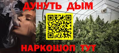 стаф Кунгур